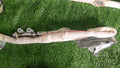 Genuine Toyota Land Cruiser 200 Side Curtain Airbags Pair L+R 2016-2021 | ACX5YJ115PBF
